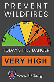 BIFD courtesy graphic