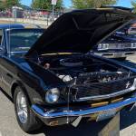 Visitors to the show enjoy looking at the clean engines in the vehicles. This 1966 Shelby was one of hundreds of classic cars on display at the 2022 Saints Car Club Car Cruz.