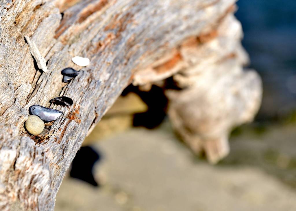 Art takes all forms.