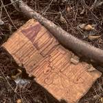 A piece of cardboard reading Anything Helps lies abandoned in the grass behind the property line of Peace Lutheran Church and School. Other objects found include articles of soiled clothing, beer cans and used foil.