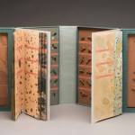 Julie Chen won the Artists Books Artists Award.