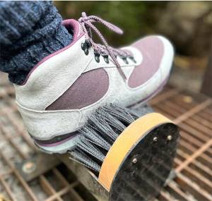 BIPT Foundation courtesy photo
Brushing off your shoes can control the spread of invasive species.