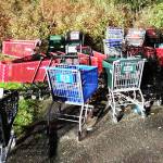 Cart piles like this often signify a closer proximity to those using them in a homeless encampment.