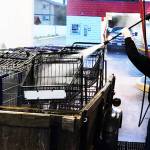 Sponsor-A-Can courtesy photos
Matthew Boisson uses a car wash hose to spray off multiple carts in the back of a truck.
