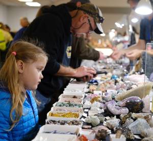 Damon Williams/Kitsap News Group Photos
Fans young and old enjoy looking at rocks at the gem show.