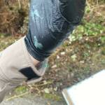 Teal-colored grease from a political sign recovered from the bushes along Stottlemeyer Road. Scott Henden and Kim Gerlach covered their political signs with greenish-blue grease as a theft deterrent.