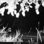 A still shot from one of the videos showing a person with a sign.