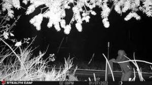 A still shot from one of the videos showing a person with a sign.