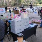 Participants and onlookers gather around the venue.