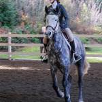 Sabine Hartenstine guides horse Torrent around the arena.