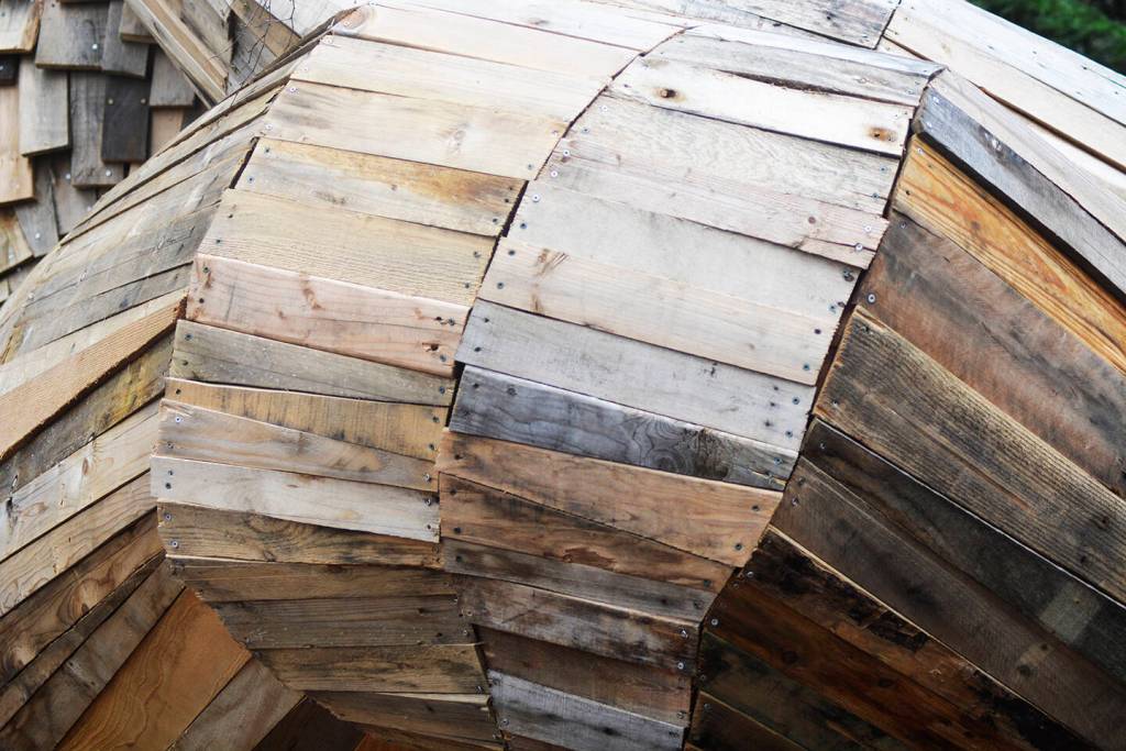 Pias thigh, knee and shin.