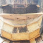 Pias mouth and chin.