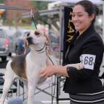 Megan Honari and her dog Rumor.