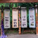 Learn about tragic history on BI at the Japanese American Exclusion Memorial.