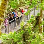 Students on IslandWoods suspension bridge in May 2022.