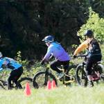 After the start, cyclists ride down a hill before heading into the forest.