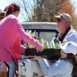 Students worked with Poulsbo Rotary members.