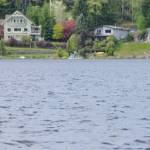 Even if you dont catch fish, a day out on the water is known to be better than any day in the office.