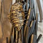 Isopoda, by Matthew Berger