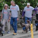 The dogs may not look like their owners, but their owners shirts sure look alike.