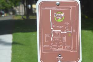 Steve Powell/Kitsap News Group
A trail has opened connecting Ordway Elementary, shown here, with Sakai Park, the Aquatic Center, Bainbridge High School and all its fields, and over to NE New Brooklyn Road. The trail connects walkers and cyclists from a residential area to those community assets. The trail is named in honor of Dana Berg, former president of the nonprofit Squeaky Wheels.