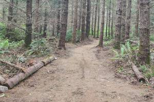 Tyler Shuey/Kitsap News Group photos
The start of the new Stottlemeyer trailhead at Port Gamble Forest Heritage Park.