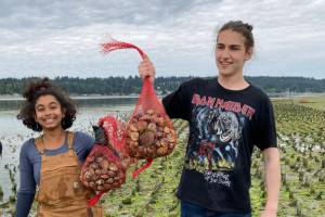 Schools that cultivate the ability for students to thrive in a changing world teach beyond the textbook and test. Hyla School photo