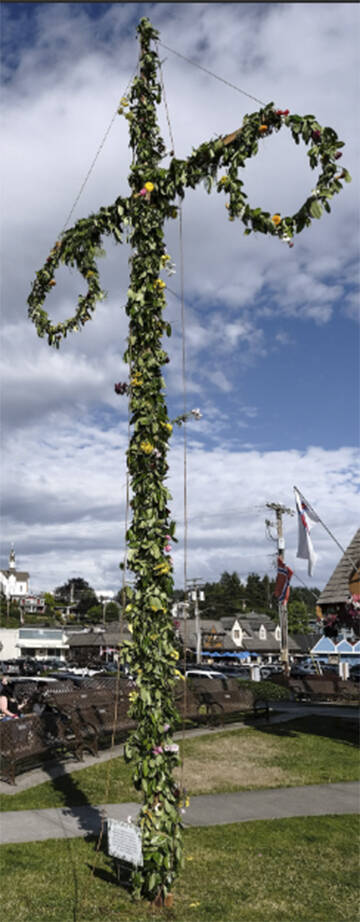 The traditional Maypole was made and erected to be danced around later to Viking music.