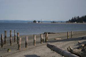 File photo
Shellfish harvesting is closed from Foulweather Bluff to Point Jefferson in North Kitsap due to high levels of marine biotoxin paralytic shellfish poison in the water.