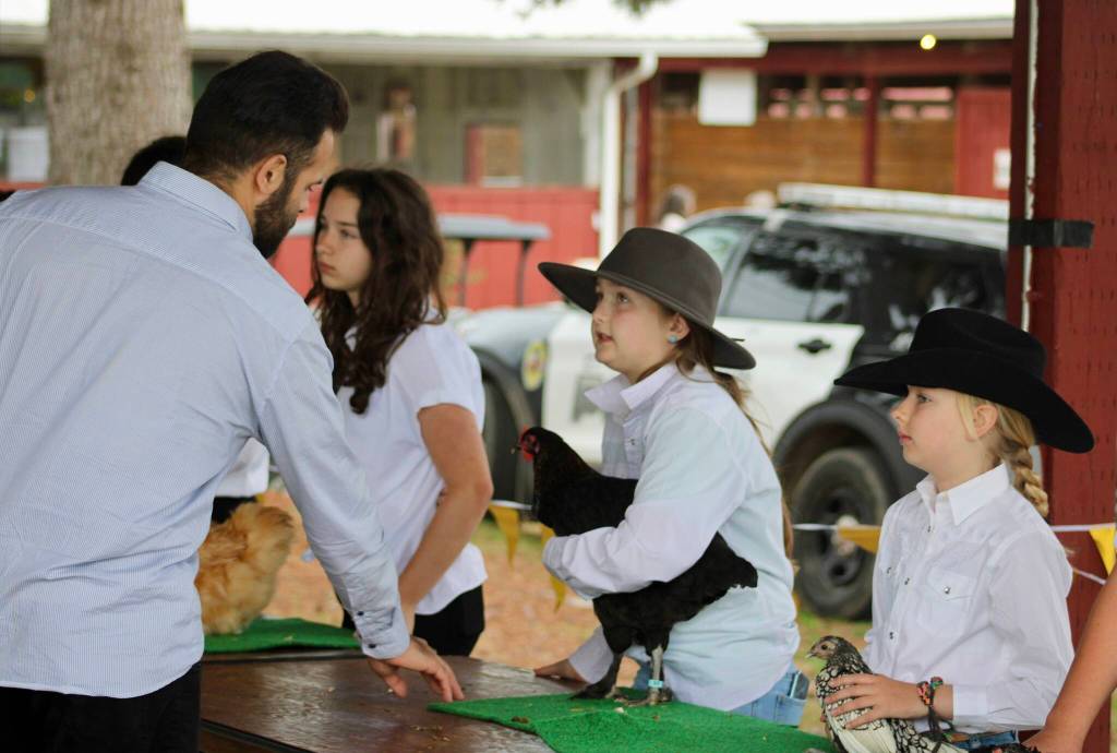 Fair season means 4-H in Kitsap County, and these young ladies have their chickens ready for evaluation.