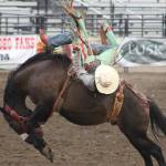 Elisha Meyer/Kitsap News Group photos
Clayton Moss somehow finds a way to stay on his horse on the first night of the rodeo.