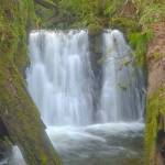 Greater Peninsula Conservancy courtesy photo
The first waterfall that graces Dickerson Creek.
