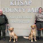 Mike De Felice/Kitsap News Group
Corrections officer Paul Haney and his dog George and officer Merile Montgomery and her dog Andy keep Kitsap County Jail inmates safe by checking them for drugs.