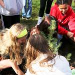 SKSD courtesy photos
John Sedgwick Middle School was one of the few schools nationwide to receive one of the historic trees.