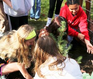 SKSD courtesy photos
John Sedgwick Middle School was one of the few schools nationwide to receive one of the historic trees.