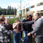 The coastal Douglas fir is currently 34 inches tall.