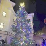 The citys tree lightning this year overcame challenges from last year due to construction.