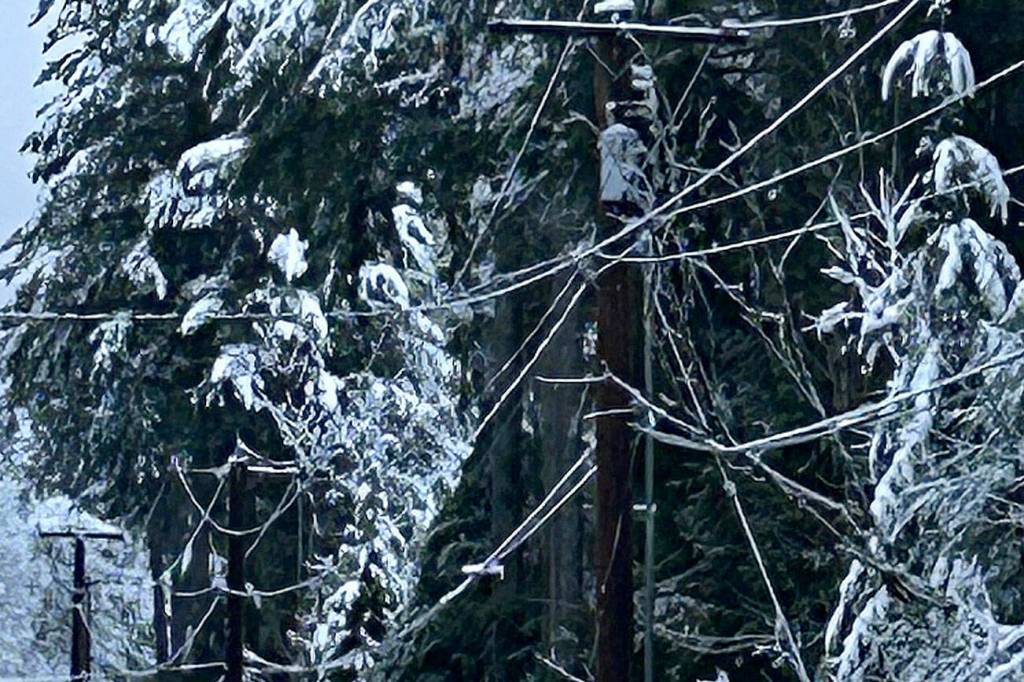 KCSO courtesy photo
Fallen tree branches hang on power lines on Locker Road near Garfield Avenue in South Kitsap Feb. 6.