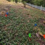 ATCRC courtesy photos
Aqua Terra Cultural Resource Consultants partnered with the Canine Forensic Foundation to identify multiple unmarked burial locations that have had their headstones previously removed.