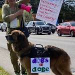 This furry friend took a stand- displaying DOGS vs DOGE.