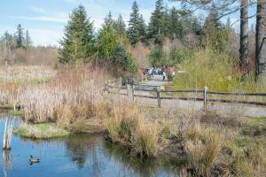 GPC courtesy photo
Clear Creek Trail in Silverdale.