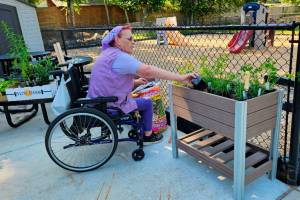 Kitsap Rescue Mission courtesy photos
Pacific Building resident Ursula Kelley works at one of the new wheelchair accessible vegetable bins in the shelters backyard.