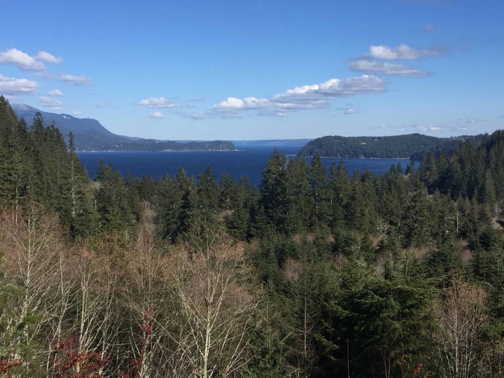 The headwaters of the Stavis Natural Resources Area, looking west to Hood Canal.