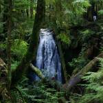 DNR courtesy photos
A waterfall in the Stavis Natural Resources Area.