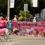 Tonis Ponies made an appearance in this years Kingston 4th of July Parade.