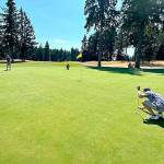 Golfers putt on a green at Gold Mountains Cascade course.