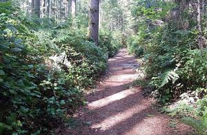 Washington Trails Association courtesy photo
Banner Forest Heritage Park in Port Orchard.