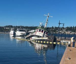 Bremerton Marina courtesy photo
The Dominion, a 128-foot wooden U.S. Army tugboat, sank at the Bremerton Marina Sept. 17.
