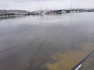 Port Orchard Public Works courtesy photo
Washington State Department of Ecology placed absorbent water booms near the Port of Bremerton boat launch to capture and absorb any fuel material reaching the inlet.