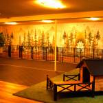 The indoor play space for dogs.
